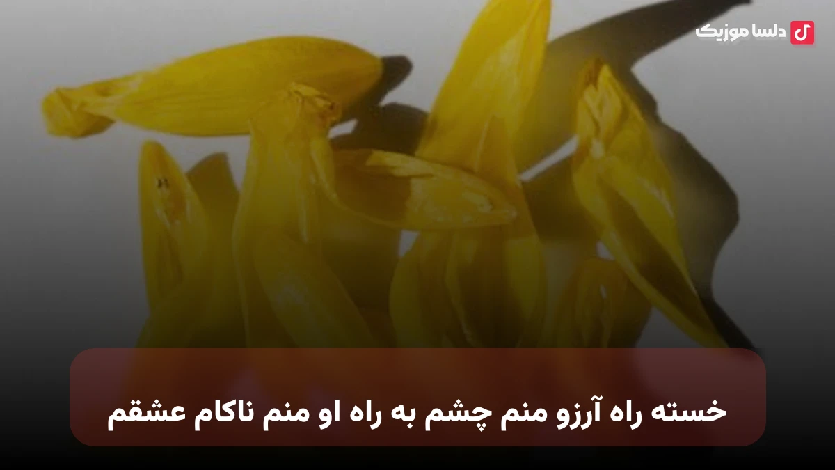 خسته راه آرزو منم چشم به راه او منم ناکام عشقم با صدای زن